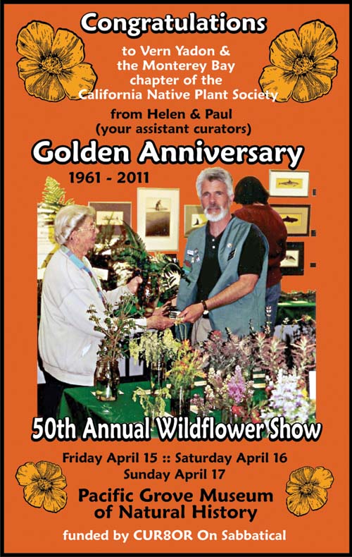 Wildflower
                Show ad