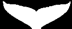 ACS logo