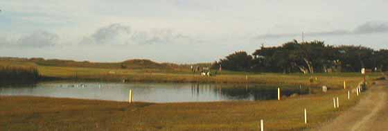 Crespi Pond
