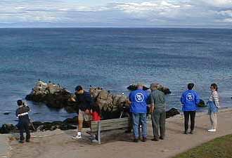 Bay Net volunteers