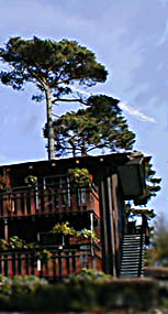 Olympia Motor Lodge
